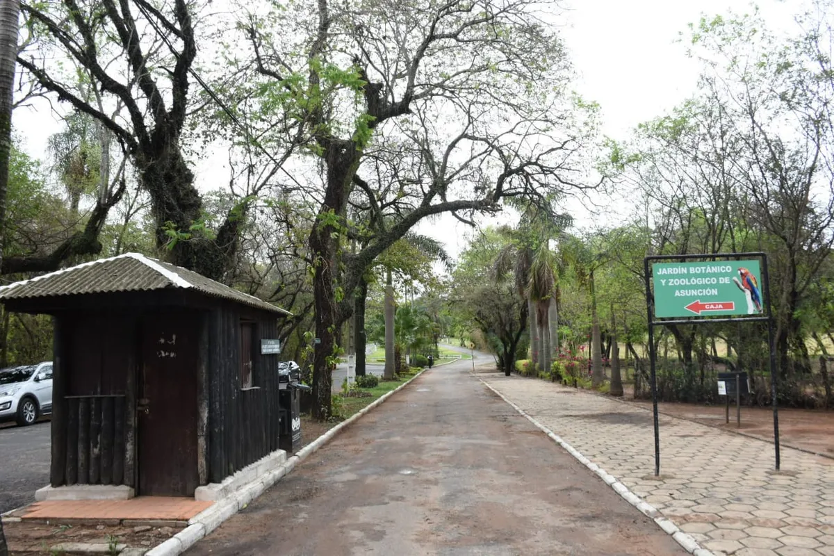 Emigrar con familia a Paraguay: escuelas y costos